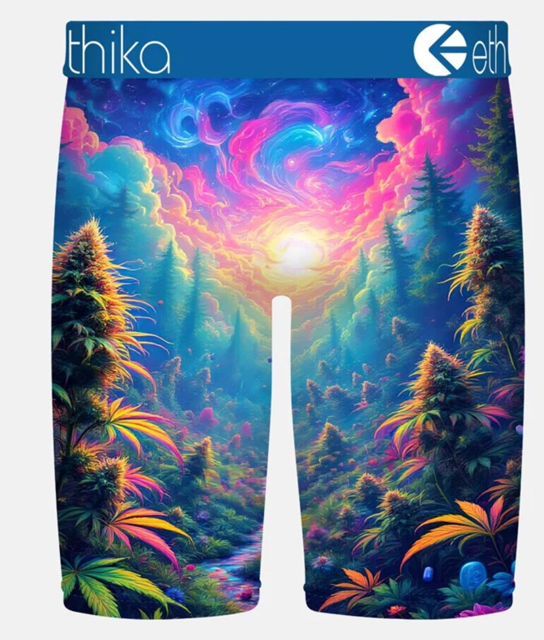 Men's Indica Dreams Boxer Brief